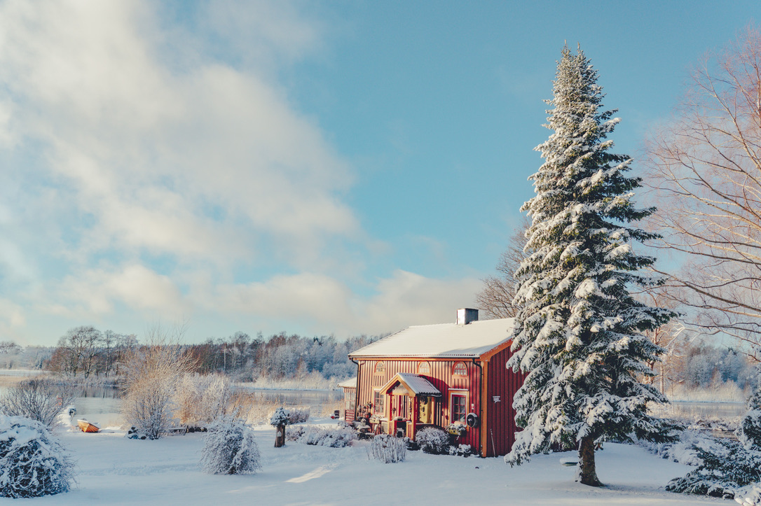 Surroundings — winter